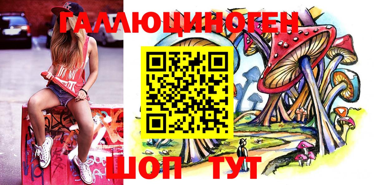 Псилоцибиновые грибы GOLDEN TEACHER  Вход с VPN  сколько стоит  Нижнекамск 