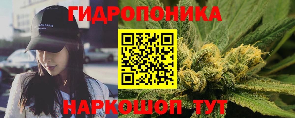 Шишки марихуана планчик  Марихуана MAZAR  Вход с VPN  Нижнекамск  МАРИХУАНА план  Канабис конопля 
